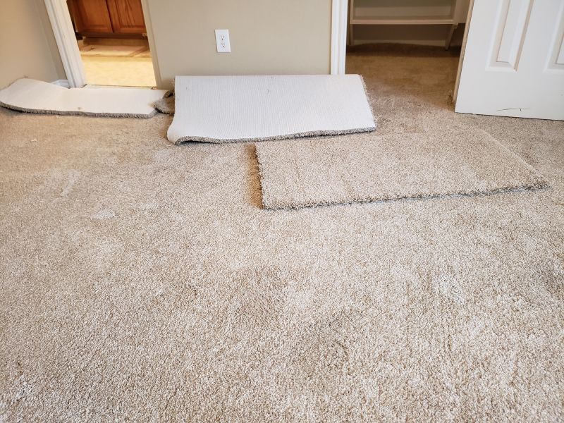 Carpet Foam Replacement in Olathe, KS