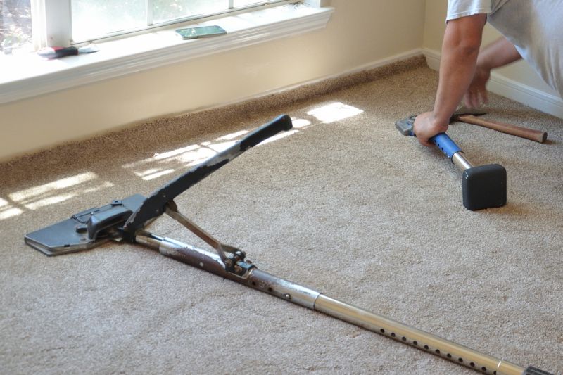 Carpet Service in Freehold, NJ