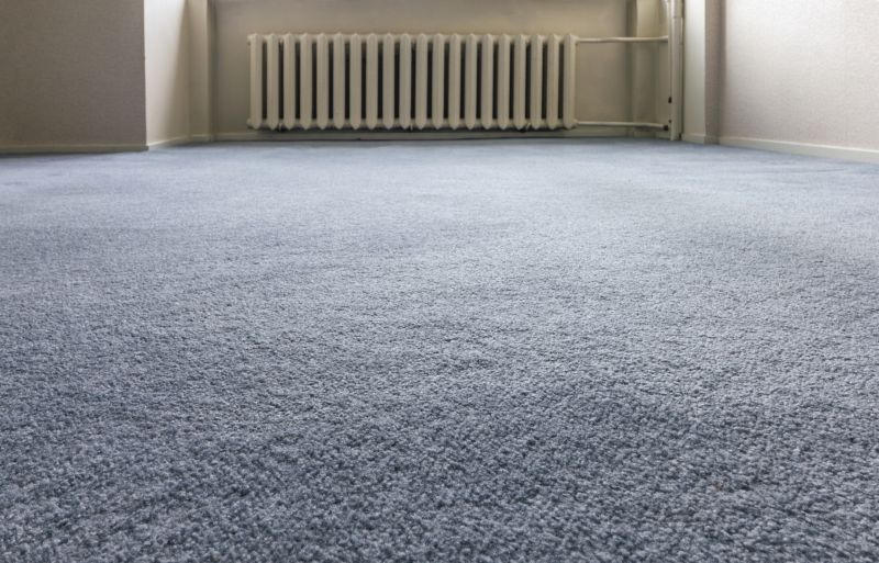 Pet Stain Carpet Repair in Olathe, KS